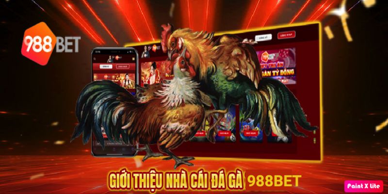 Da ga 988Bet co the theo doi moi tran dau voi nhieu thiet bi