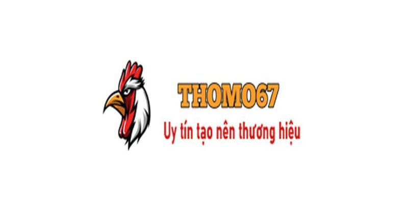 Da ga Thomo 67 Uy tin tao nen thuong hieu